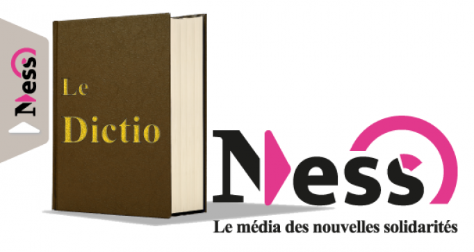 Image d'un dictionnaire dénommé "dictio" à côté du logo "Ness" donnant le nom "DictioNess"